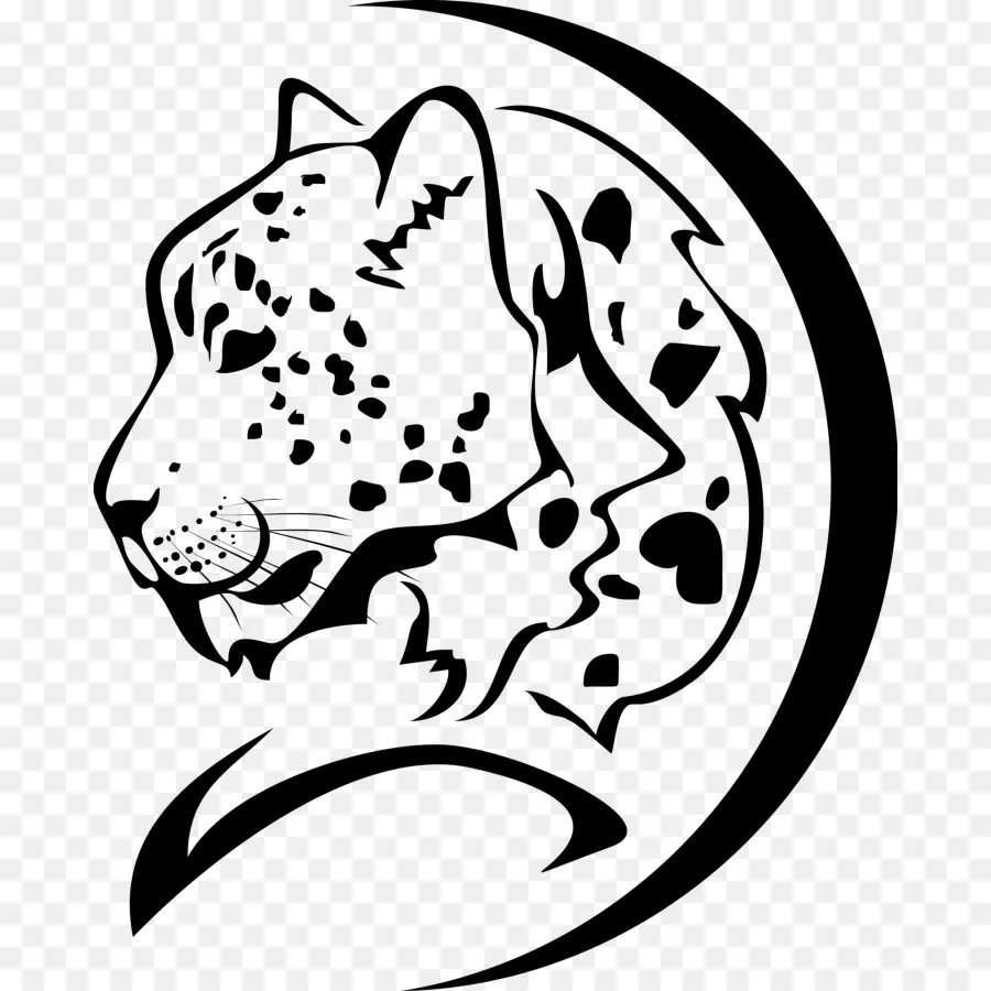 Leopard，Cheetah PNG