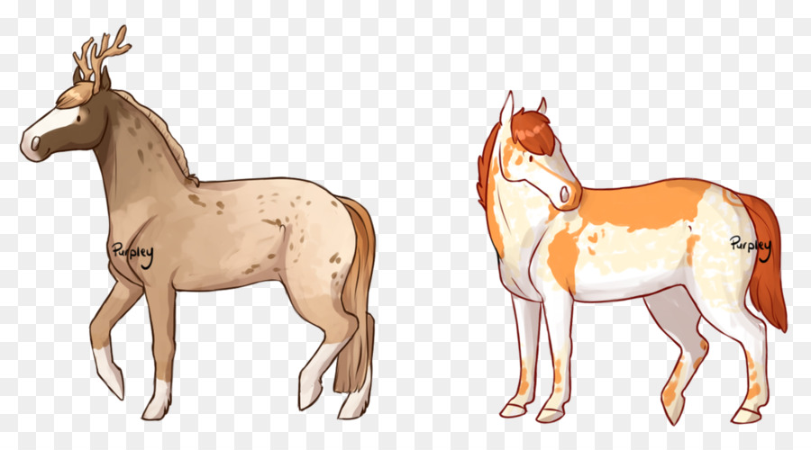 Caballos，Caballo PNG