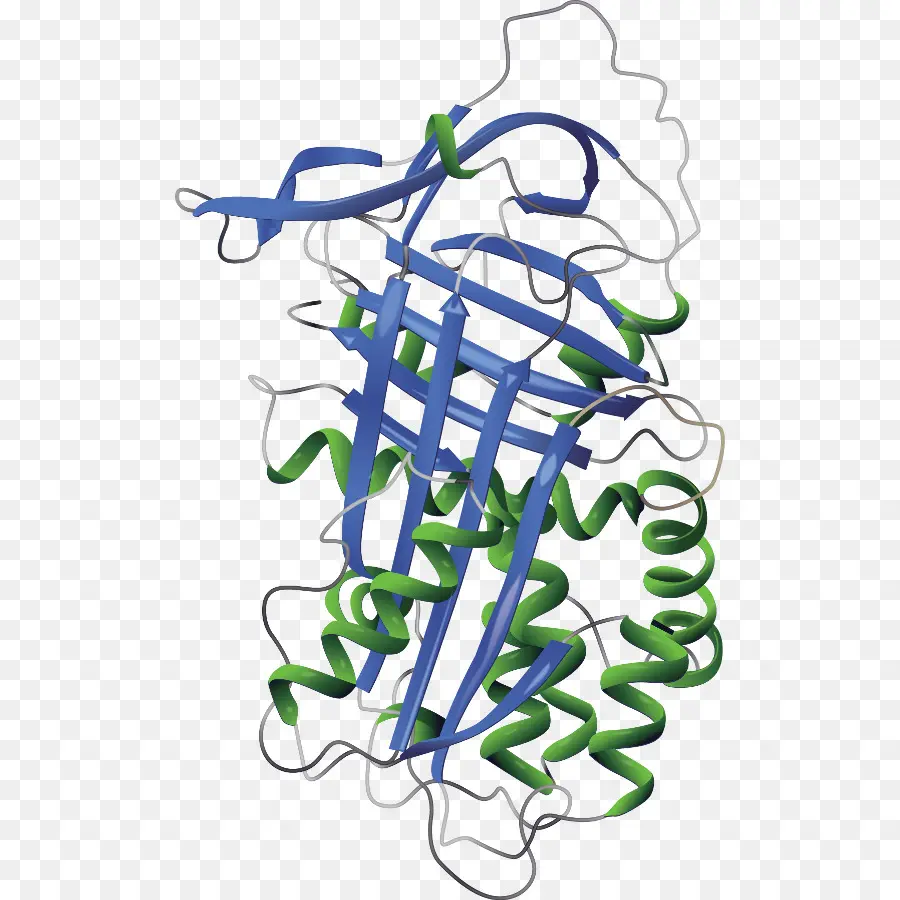 Inhibidor De La Alfa1proteinasa，Deficiencia De Alfa 1antitripsina PNG