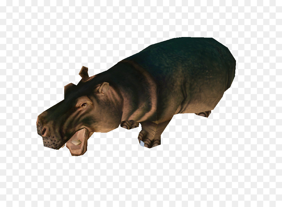 Hipopótamo，Hocico PNG