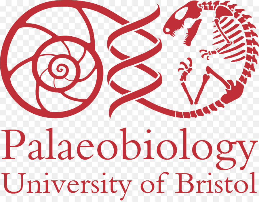 La Universidad De Bristol，La Escuela De Ciencias De La Tierra PNG