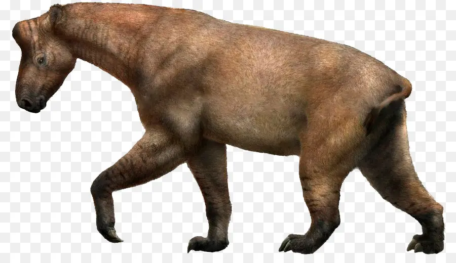 Chalicotherium，Ancylotherium PNG