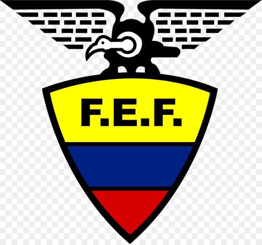 Equipo Nacional De Fútbol De Ecuador，2014 Copa Mundial De La Fifa PNG