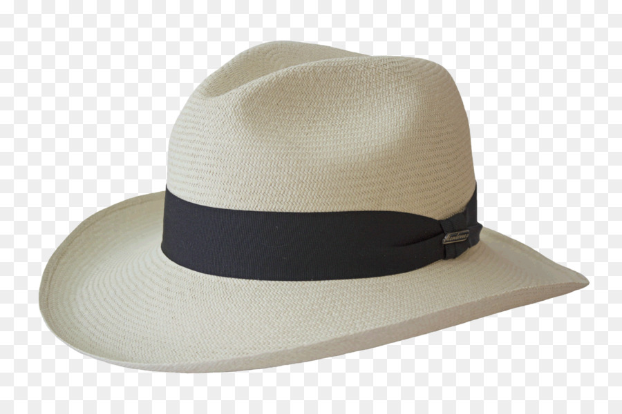 Sombrero De Vaquero Blanco，Vaquero PNG