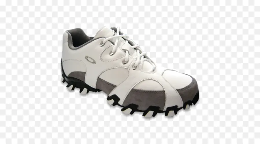 Zapato，Zapatilla De Deporte PNG