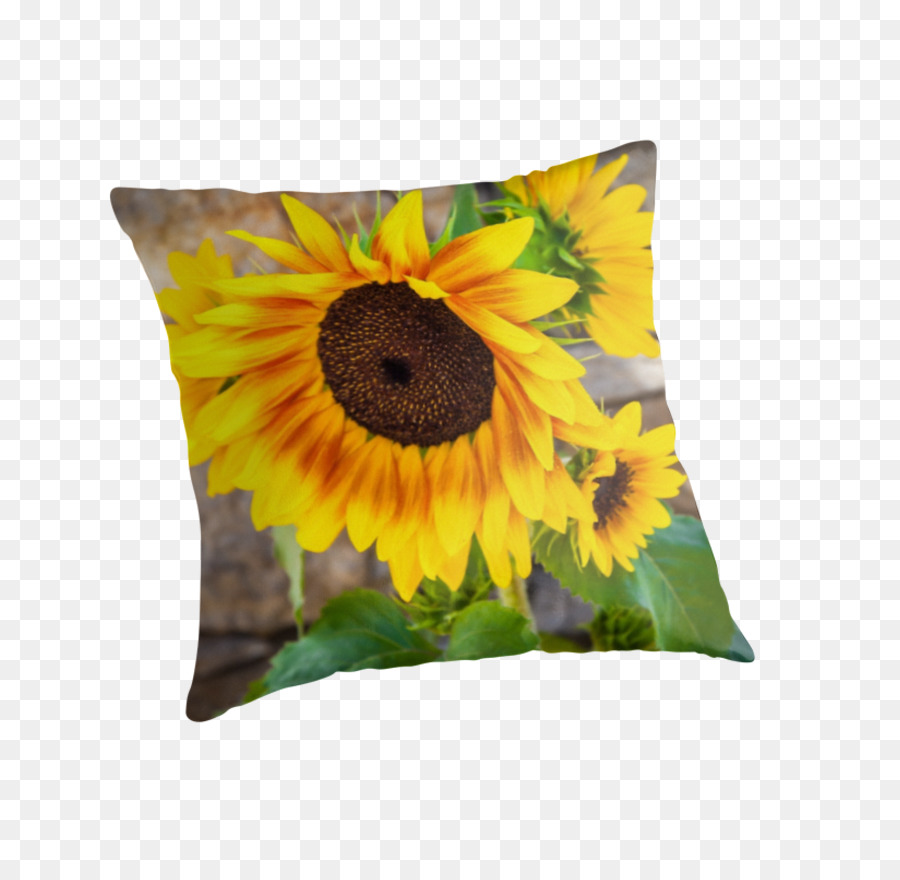 Almohada De Girasol，Girasol PNG