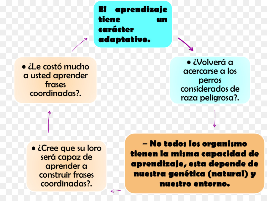 Neurofisiología，El Aprendizaje PNG