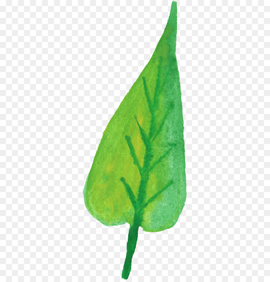 Hoja Verde，Planta PNG