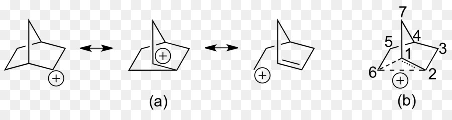 2norbornyl De Cationes，Carbocation PNG