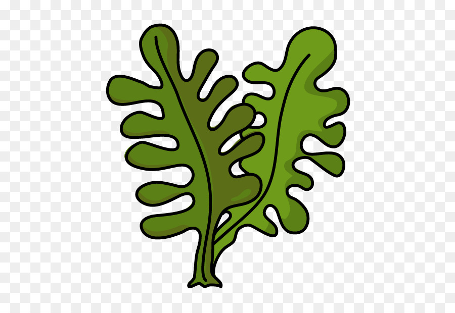 Wakame，Kombu PNG