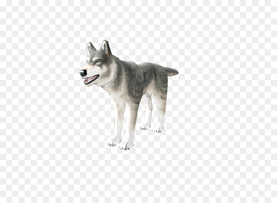 Miniature Siberian Husky，Tamaskan Dog PNG