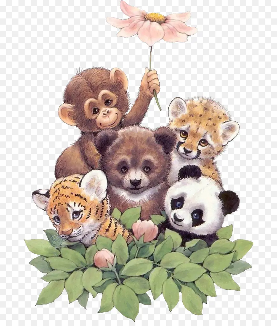 Animales Bebes，Lindo PNG