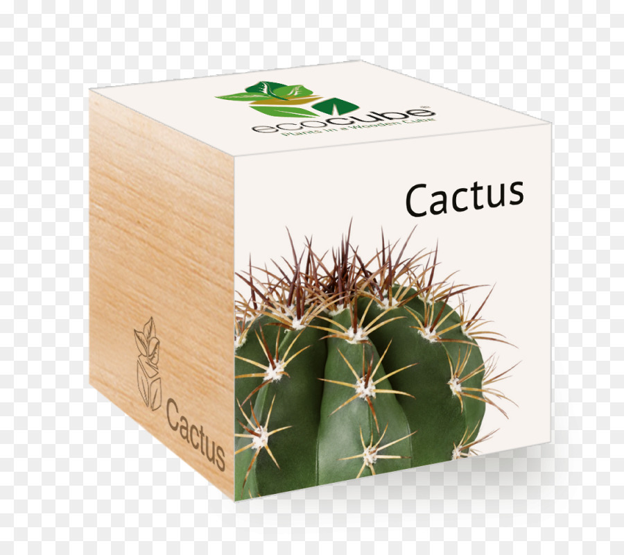 Plantas Vs Zombies Garden Warfare 2，Cactaceae PNG