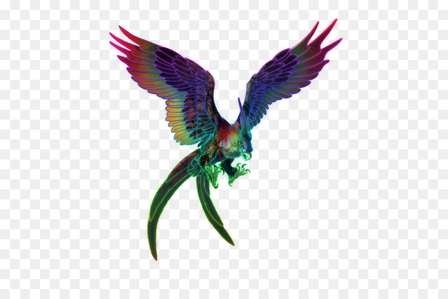 Pájaro，águila Calva PNG