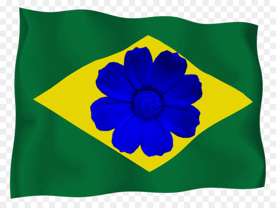 Bandera De Brasil，Brasil PNG