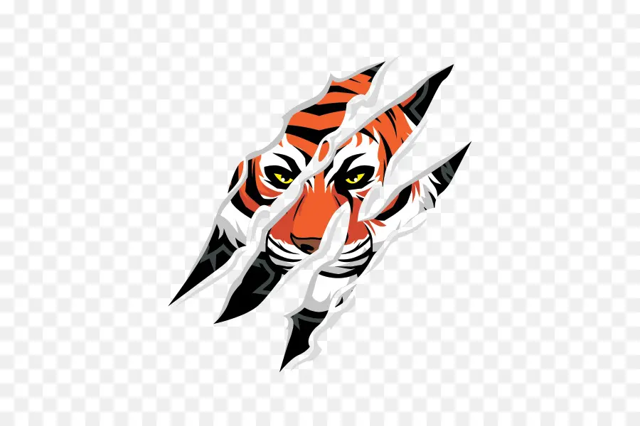 Tigre，Garra PNG