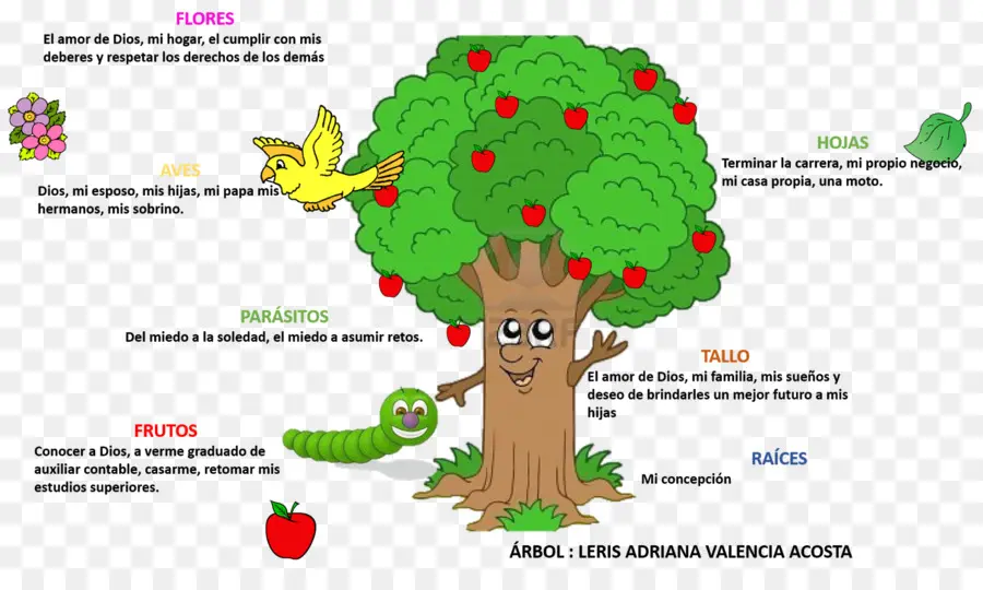 árbol，La Vida PNG