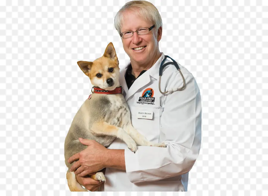 Veterinario Con Perro，Doctor PNG