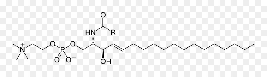 Estructura Química，Molécula PNG