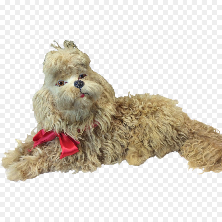 Raza De Perro，Shih Tzu PNG