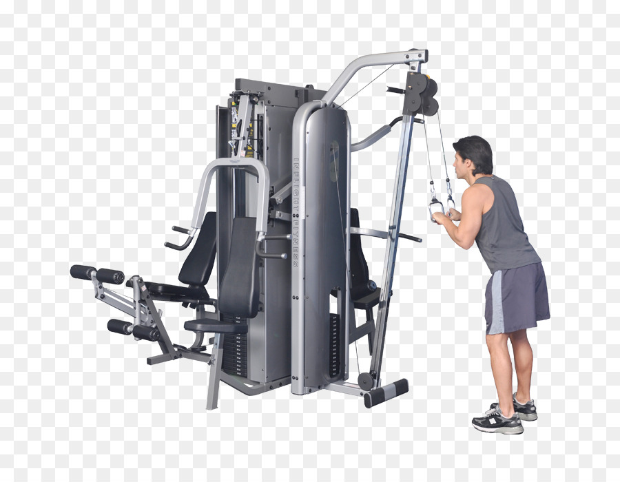 Elíptica Formadores，Centro De Fitness PNG