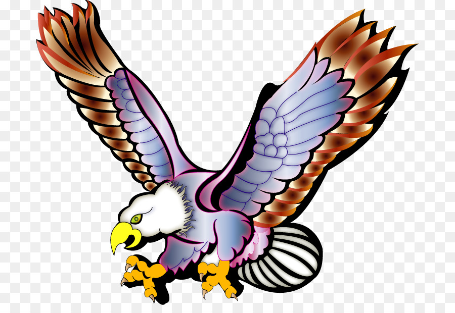 águila Calva，Águilas PNG