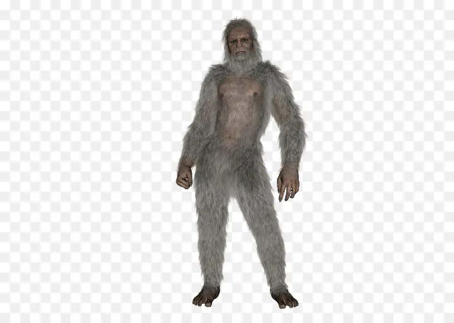 Bigfoot，Yeti PNG