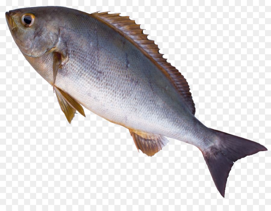 Bacalao，Los Productos De Pescado PNG