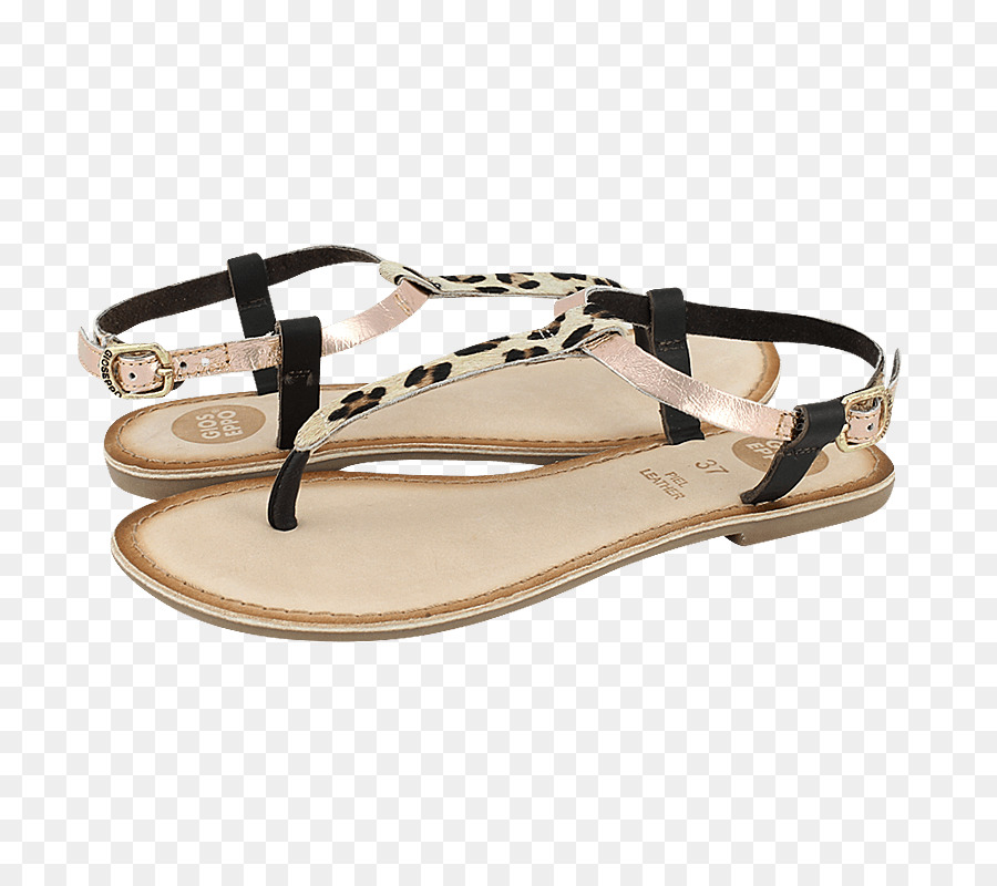 Flipflops，Diapositiva PNG