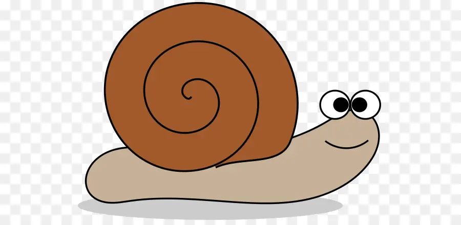 Caracol，Cáscara De Gasterópodo PNG