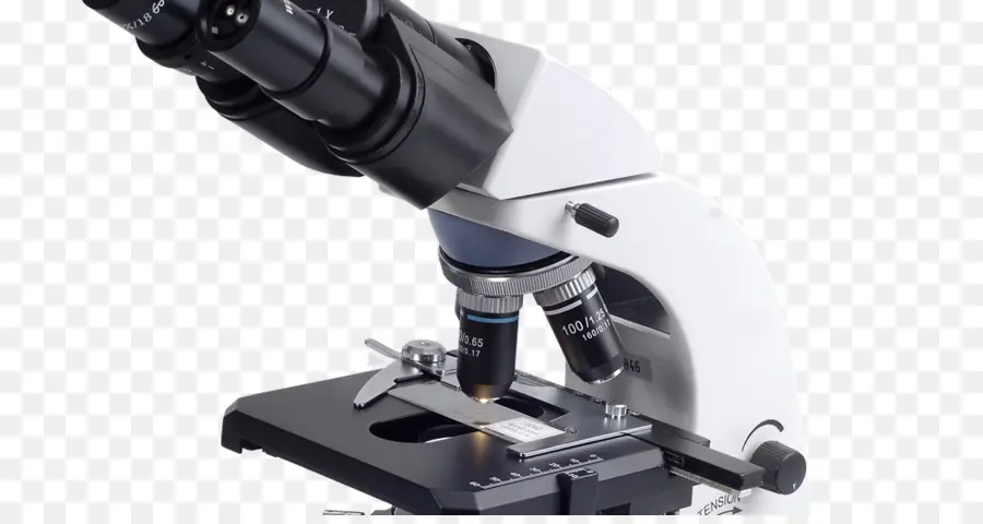 Microscopio，Evolución Del Microscopio PNG