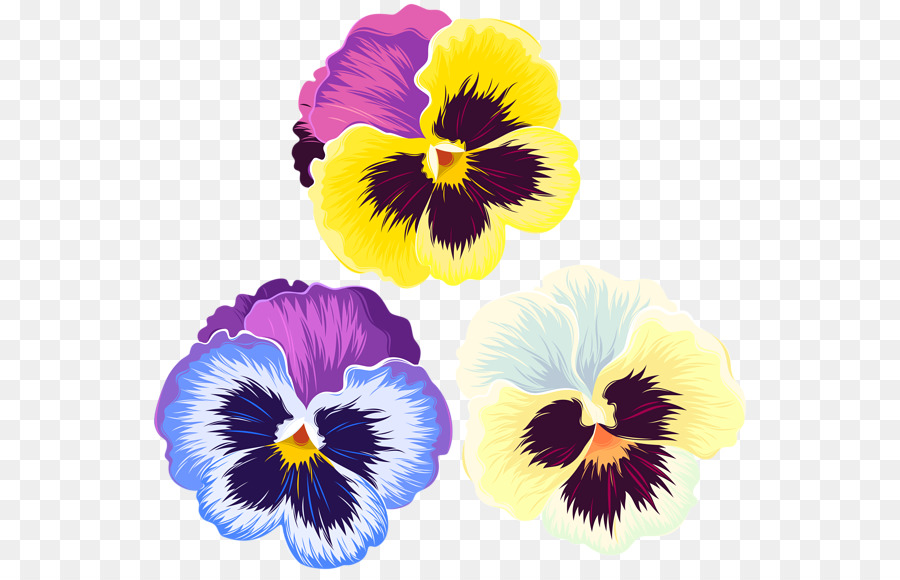 Pansy，Arte PNG