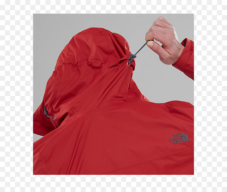 Sudadera Con Capucha，North Face PNG