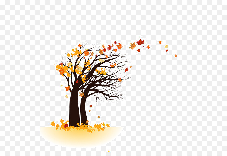 árbol De Otoño，Hojas PNG