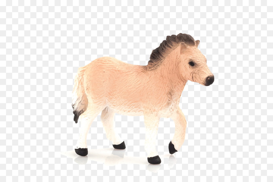 Pony，Pony Shetland PNG