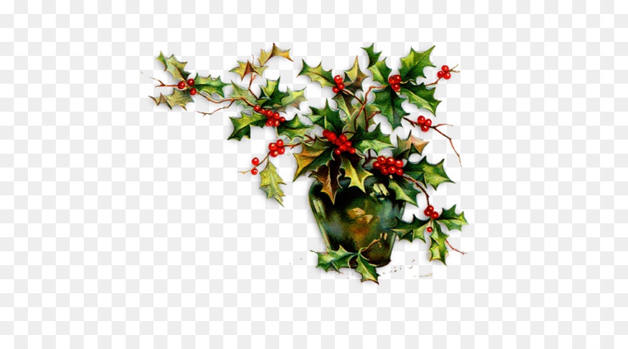 Común Holly，La Navidad PNG