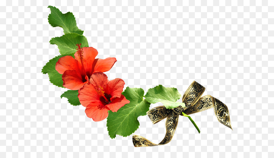 Flor，Diseño Gráfico PNG