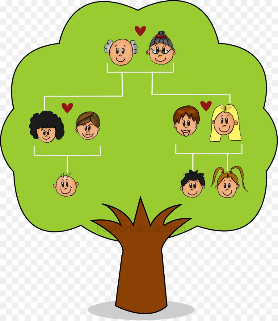 árbol De La Familia，La Familia PNG