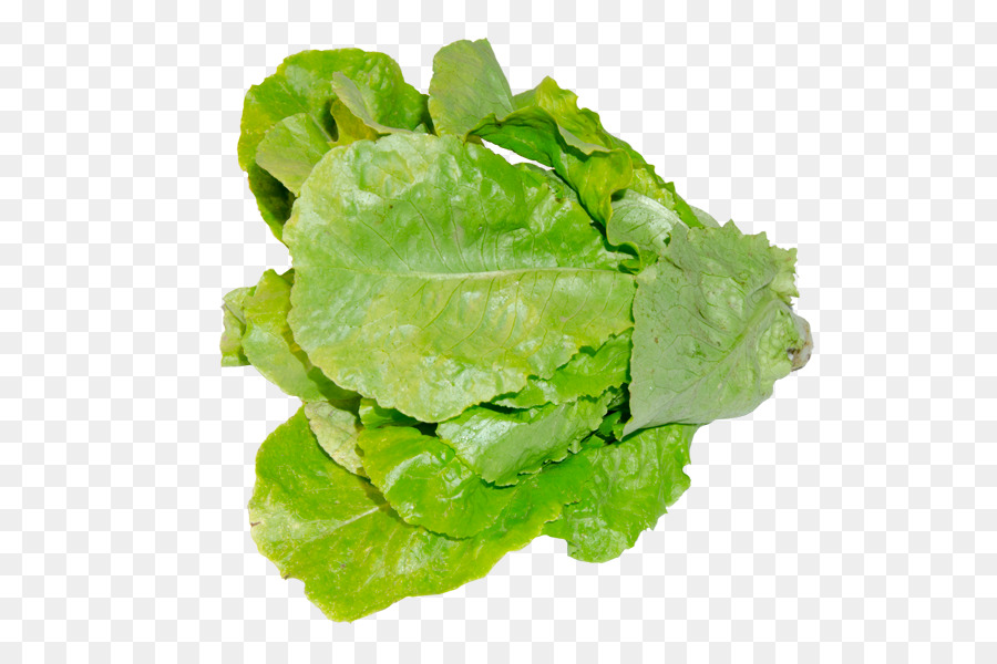 Lechuga Romana，Lechuga De Hoja Roja PNG