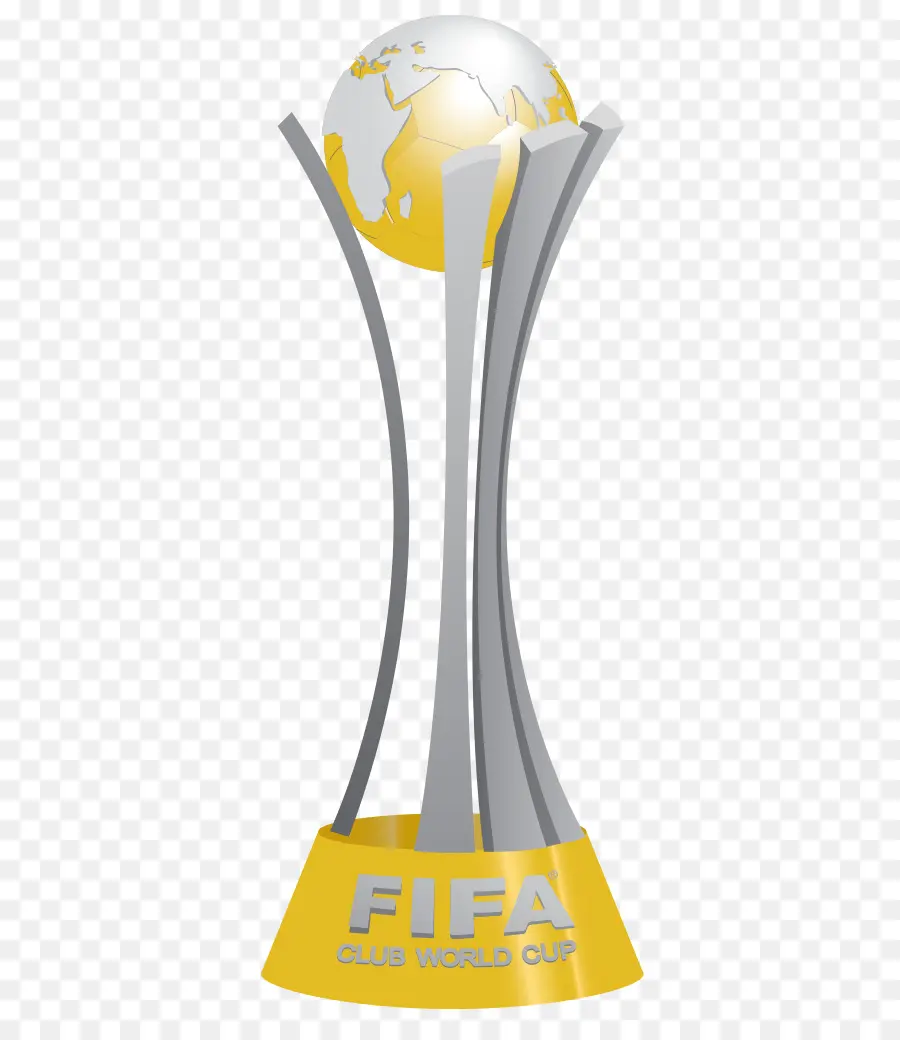 Copa Libertadores，Copa Mundial De La Fifa 2014 PNG