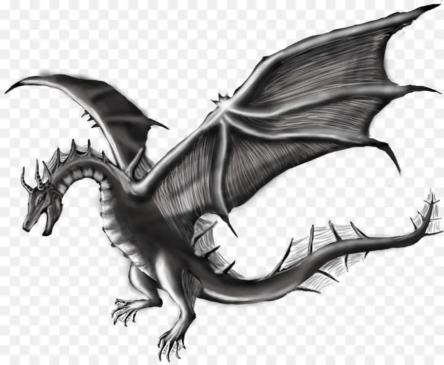 Dragón Blanco，Fantasía PNG