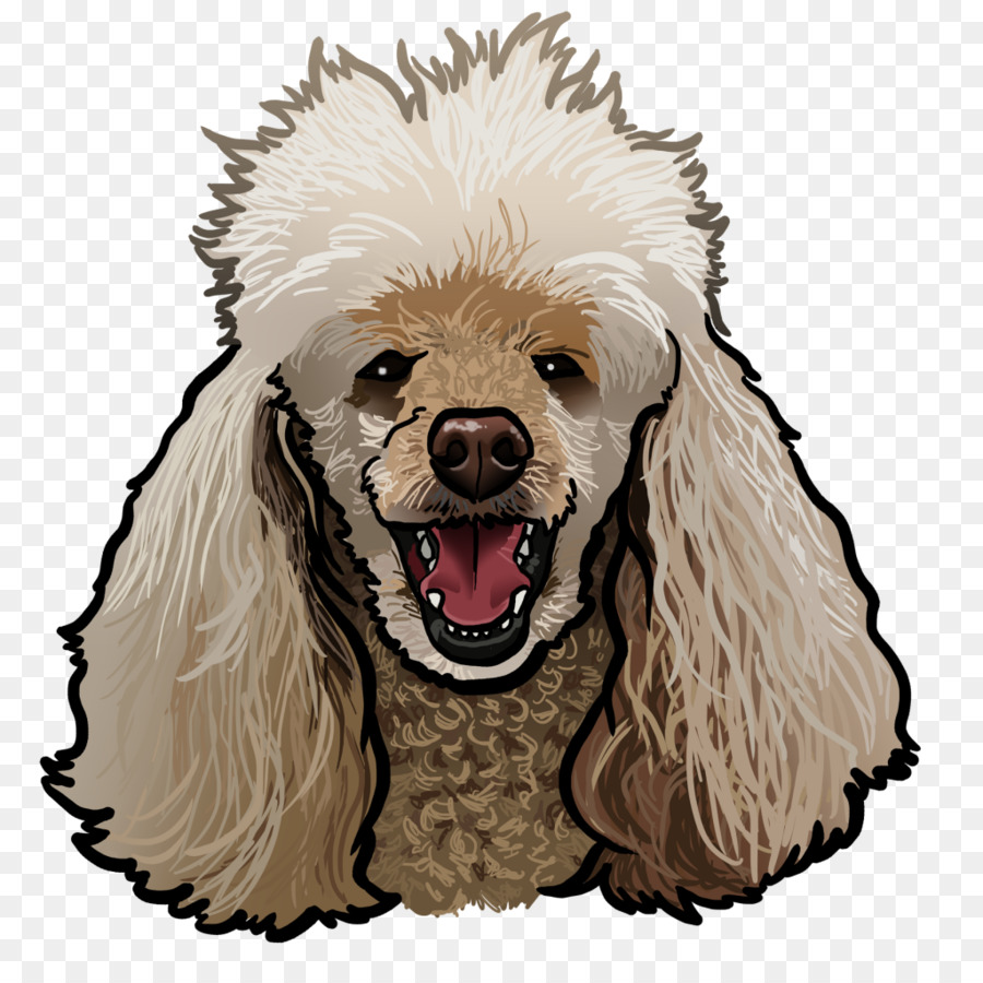 En Miniatura Caniche，Poodle Estándar PNG