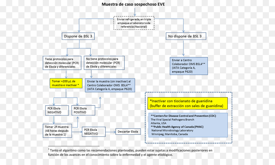 Laboratorio，Enfermedad Del Virus Del ébola PNG