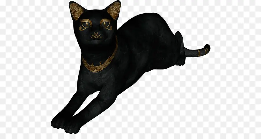 Gato Negro，Gato PNG