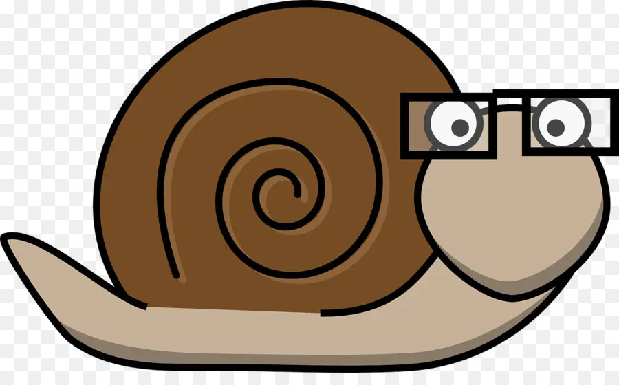 Caracol De Dibujos Animados，Caracol PNG