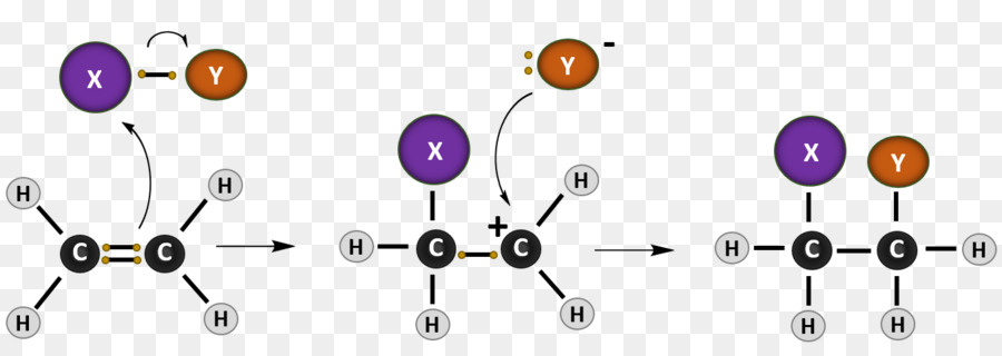 Reacción De Adición，Reacción Química PNG