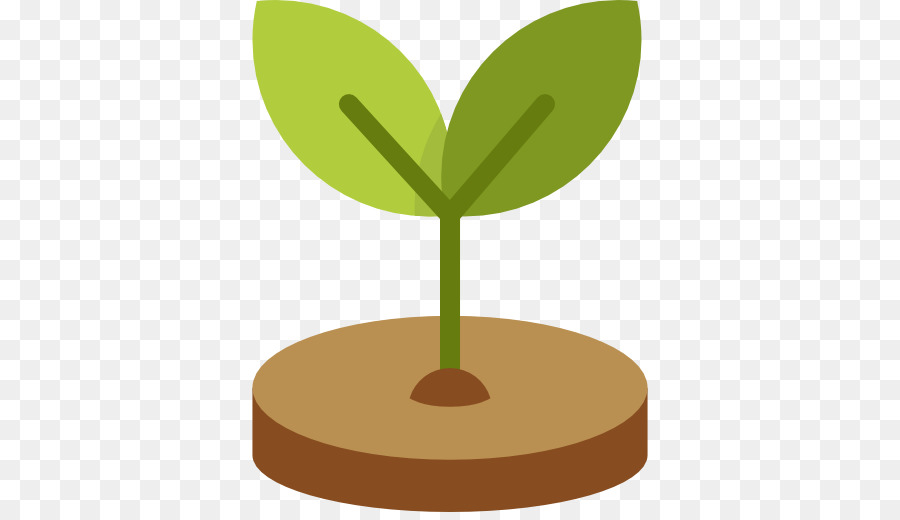 Planta，Hojas PNG