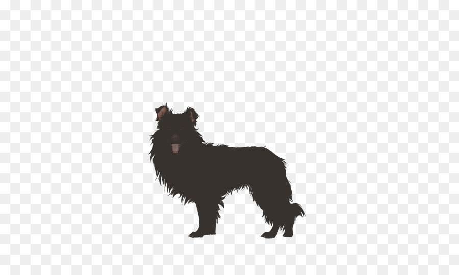 Schipperke，Affenpinscher PNG