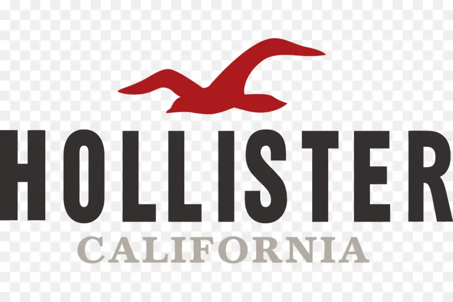 Hollister，Sudadera Con Capucha PNG