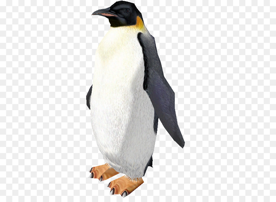 Pingüino Rey，Zoo Tycoon 2 PNG